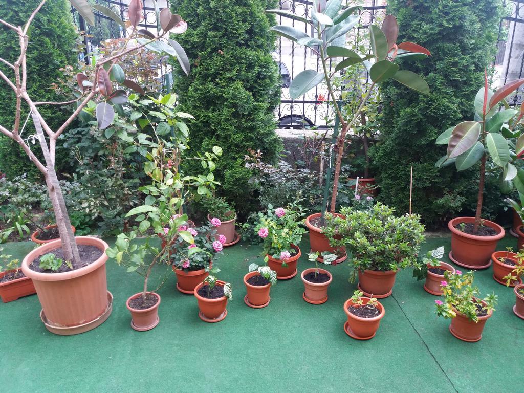 Casa Ariana Hotel Curtea De Arges Ngoại thất bức ảnh